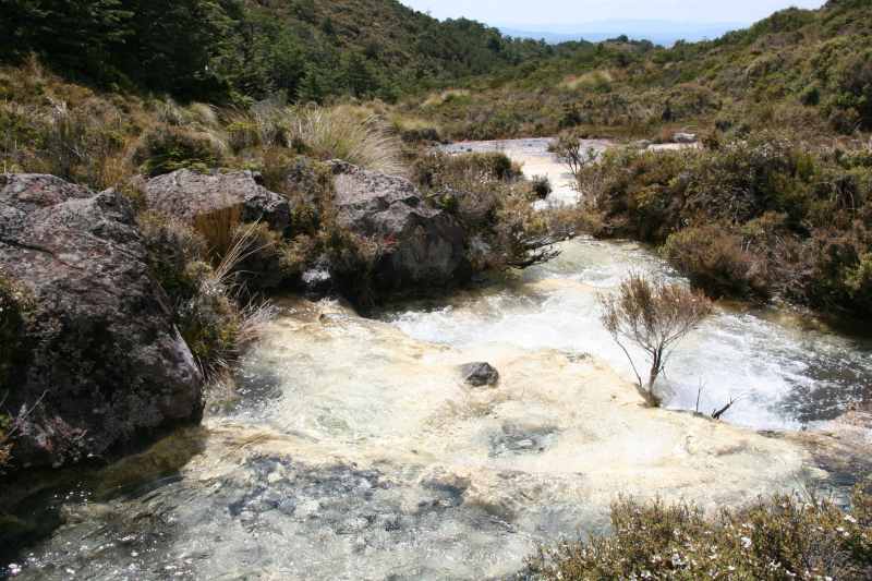 Nieuw-Zeeland 2011 - 0850